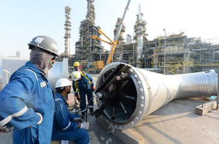 中国石化海外工程的“大烤验” 在石油化工工程前沿淬炼实力